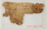 Papyrus, image 2/2