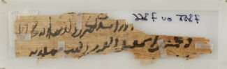 Papyrus, image 1/2