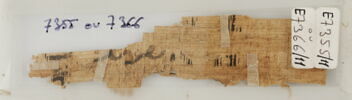 Papyrus, image 2/2