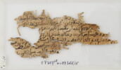 Papyrus, image 1/2