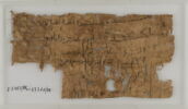 Papyrus, image 1/2