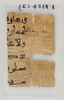 Papyrus, image 1/2