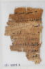 Papyrus, image 2/2