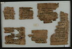 Papyrus, image 1/2