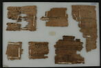 Papyrus, image 2/2