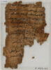 Papyrus, image 1/2