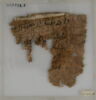 Papyrus, image 1/2