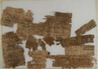 Papyrus, image 2/2