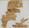 Papyrus, image 2/2