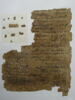 Papyrus, image 3/11
