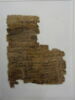Papyrus, image 5/11