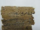 Papyrus, image 7/11