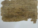 Papyrus, image 8/11
