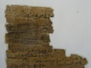 Papyrus, image 9/11