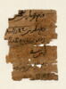 Papyrus, image 1/11