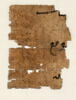 Papyrus, image 11/11