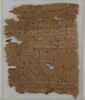 Papyrus, image 2/2