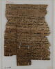 Papyrus, image 2/2