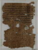 Papyrus, image 1/2