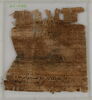 Papyrus, image 2/2