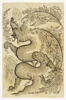 Grisaille au dragon dans des feuilles saz, image 1/7