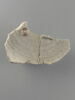 Fragment, image 2/5