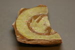 fragment de plat, image 1/2