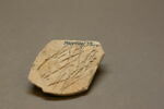Fragment, image 2/2