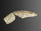 Fragment de bord de coupe, image 2/3