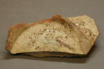 Fragment de plat, image 2/2