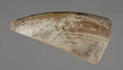 Fragment de fond de coupe, image 1/2