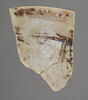 Fragment de bord de coupe, image 2/2