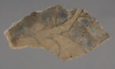 Fragment de paroi de coupe, image 1/4