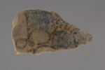 Fragment de paroi de coupe, image 1/4
