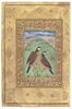 Deux oiseaux (page d'album), image 1/2