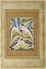 Quatre oiseaux (page d'album), image 2/2