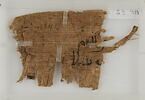 Papyrus, image 2/2