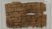 Papyrus, image 1/2