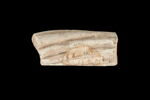 Fragment de décoration, image 2/2