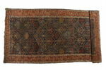 Tapis à treillis abritant des arbustes, image 2/5