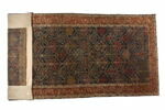 Tapis à treillis abritant des arbustes, image 3/5