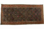 Tapis à treillis abritant des arbustes, image 1/5
