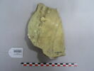 Fragment de panse, image 2/2