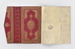 Reliure à rabat à médaillon à appendices et décor de tchis, de fleurettes et de rinceaux, image 4/11