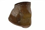 Fragment de coupe au chien, image 1/2