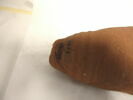 amphore, image 4/6