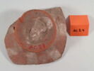 coupe, image 3/4
