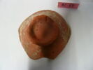 coupe, image 2/4