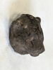 figurine ; pseudo-momie, image 3/4