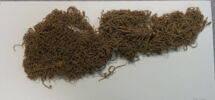 filet ; pelote ; fragment, image 1/2